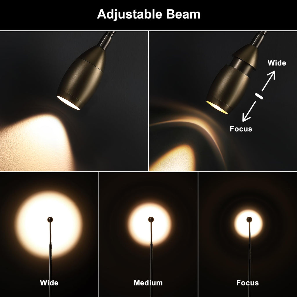 72" Reading Floor Lamp, Gooseneck LED Lamp with Zoomable Spotlight, Brass