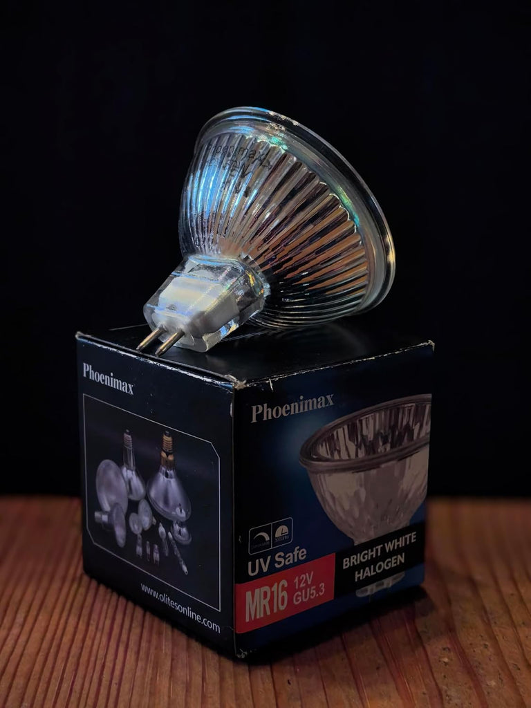 6PCs MR16 12V 50W EXN High Output 800LM Halogen Bulb GU5.3 Pin Base, 2-Inch 38° Beam Angle, UV Stop Tempered Glass