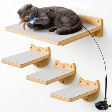 Cat Wall Shelves & Climbing System - Modern Furniture Set with 3 Steps & Perch for Indoor Cats, Includes Wand Toy