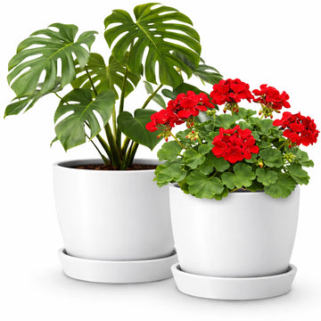 Set of 2 Minimalist Plant Pots (6.5" & 5.5") - Modern Indoor Planters with Drainage & Saucers & Plugs - Durable