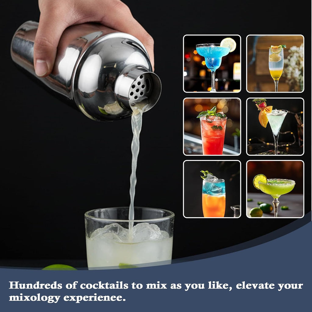 Cocktail Shaker Set, Bartender Kit,Bar Tool Set,Bar Cart Accessories - Set of 13