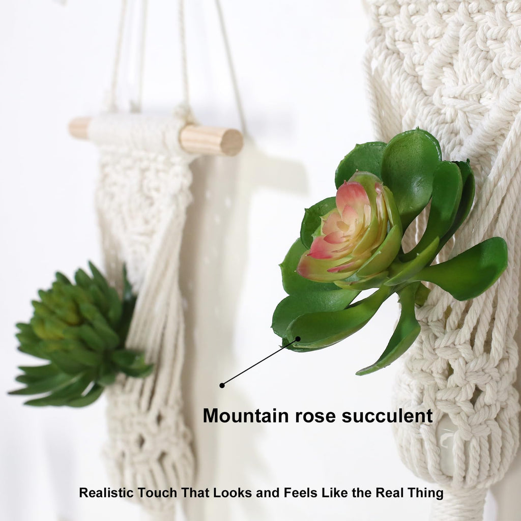 Macrame Wall Hanging Plant Holder with Artificial Succulent, Natural Cotton with Wood Dowel, Boho Wall Decor, Hanging