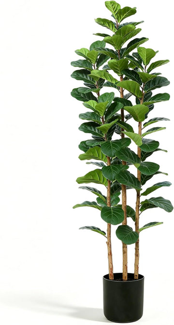 6ft 3-Trunk Fake Fiddle Leaf Fig Tree with Black Planter
