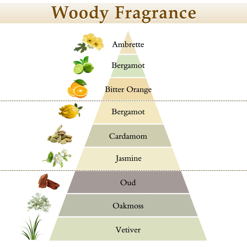 Reed Diffuser Set, 7.04 oz Oud & Bergamot Scent Diffuser with 5 Sticks, Long Lasting Air Freshener, Essential Oil