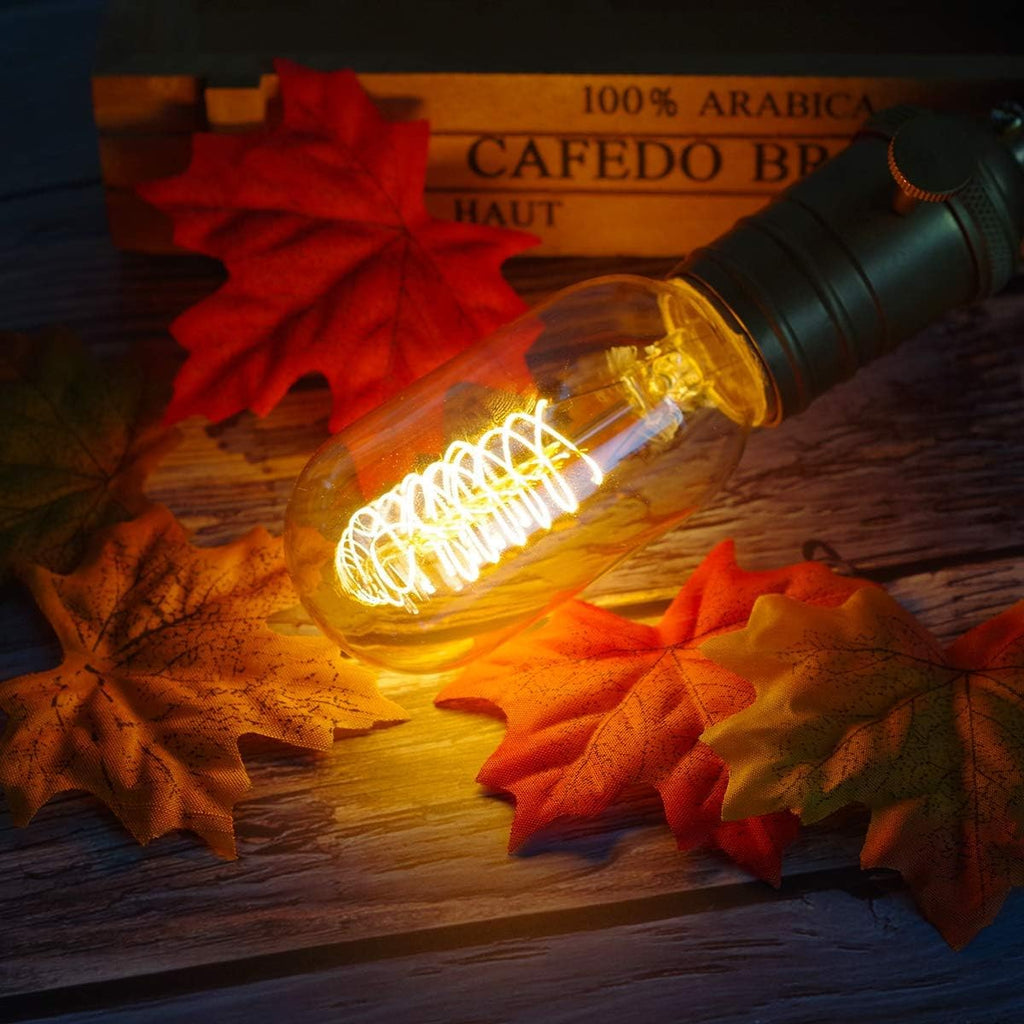 Edison Light Bulbs 40 Watt Dimmable T45 Vintage Warm Bulbs