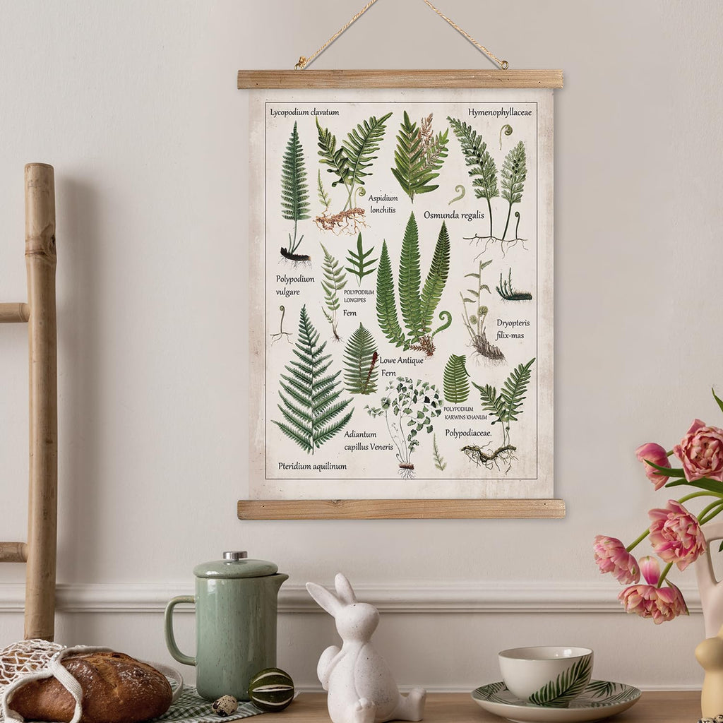 Botanical Fern Varieties Poster - Vintage Illustrated Guide with Wooden Frame - Educational Plant Wall Art, or