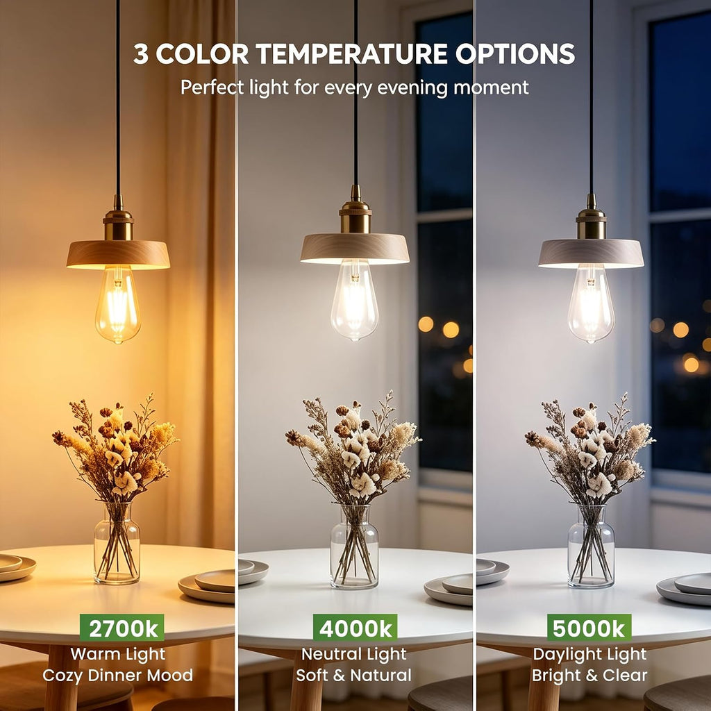 6Pack ST58/ST19 Vintage LED Edison Bulbs