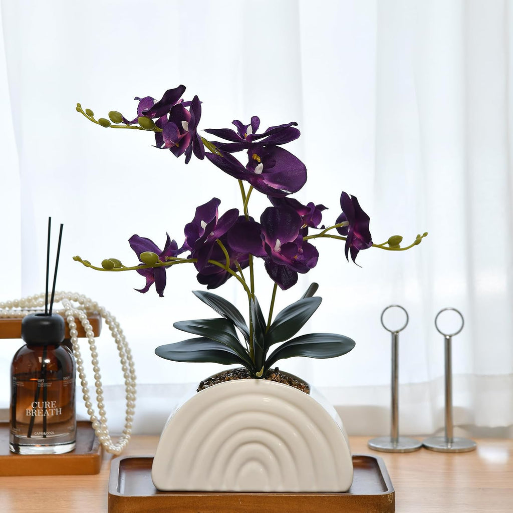 Dark Purple Silk Orchid Plant in White Rainbow Pot for Table Décor