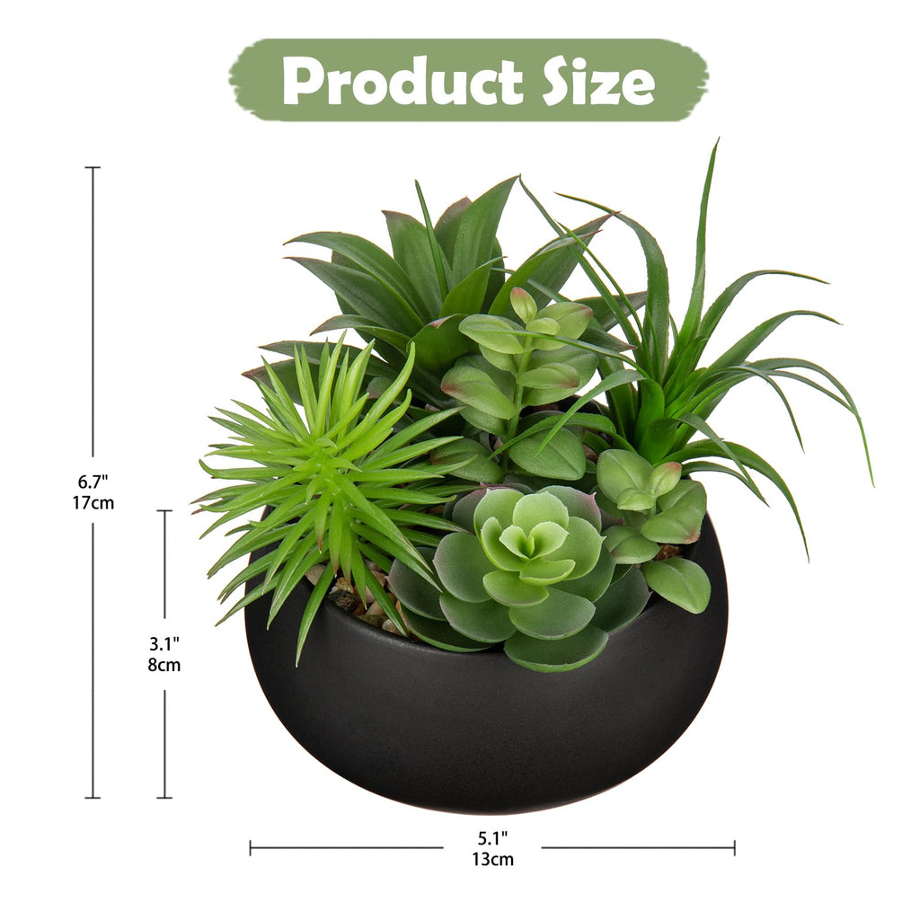 Fake Plants Artificial Succulents in Pots Faux Succulent Arrangement Potted Plant in Black Ceramic Planter Bowl Decor