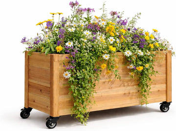 Tall Cedar Planter Box with Locking Wheels - Mobile Raised Garden Bed, Balcony & Business Entrances - Wooden Planter