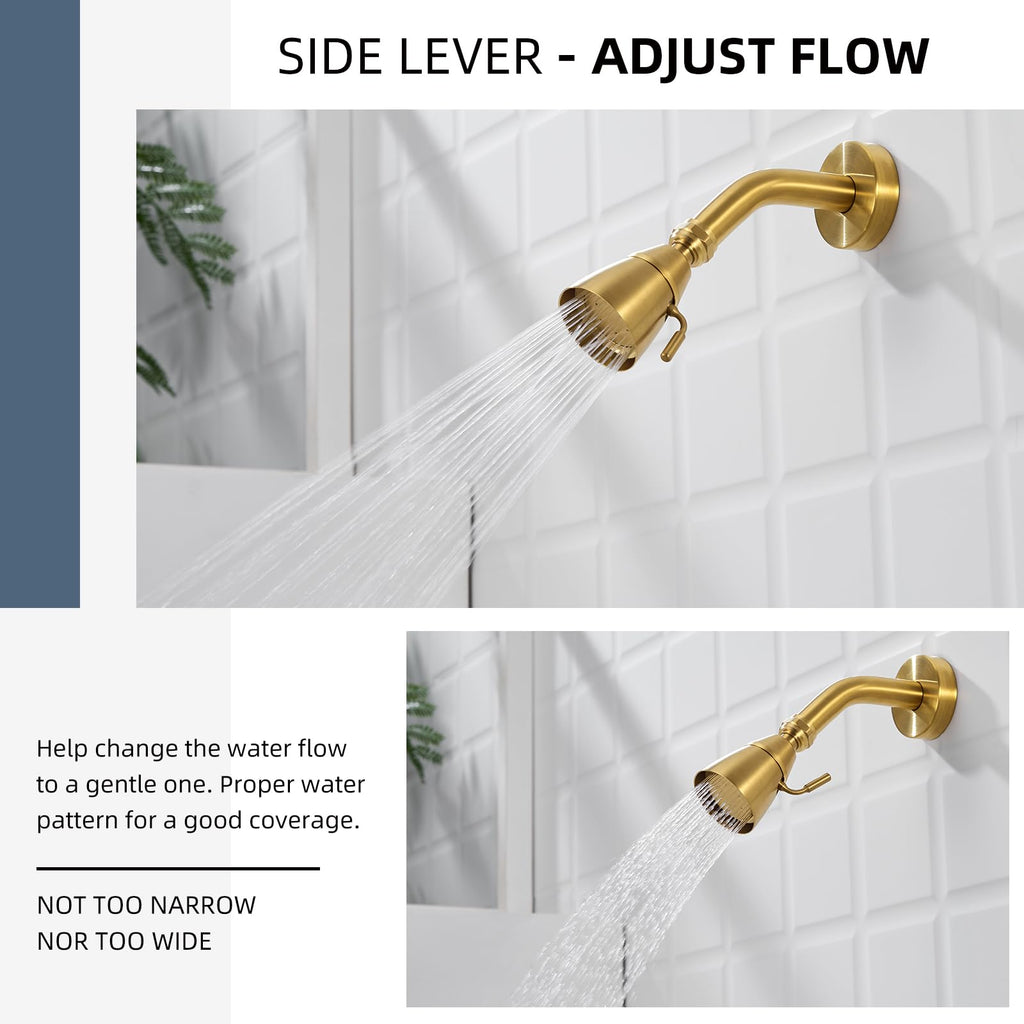 High Flow Shower Head Adjustable, G 1/2, Brushed Dark Gold