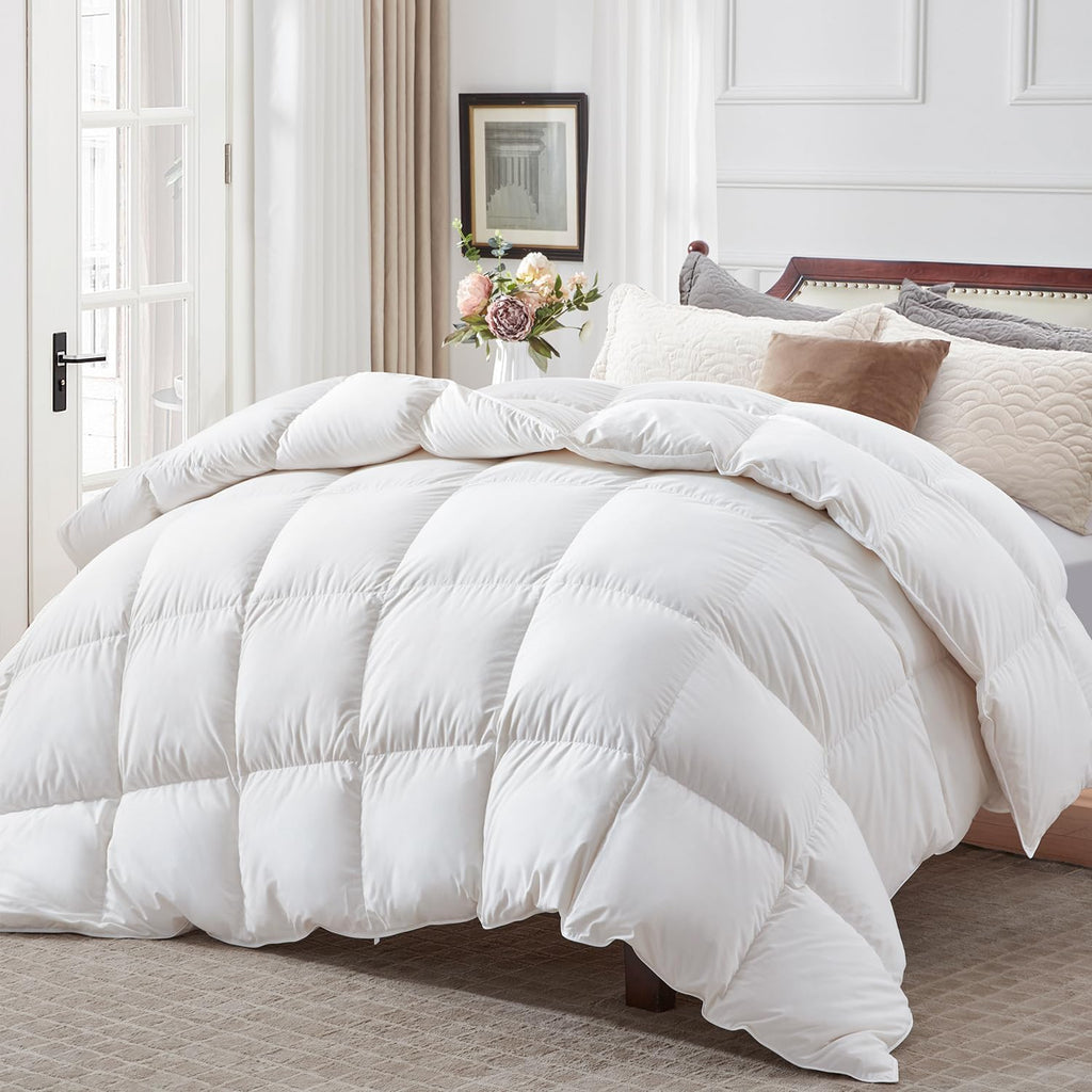 Winter Down Comforter Queen Size, Heavyweight Duvet Insert for Clod Sleepers, Noiseless Soft Shell, with 8 Corner Tabs