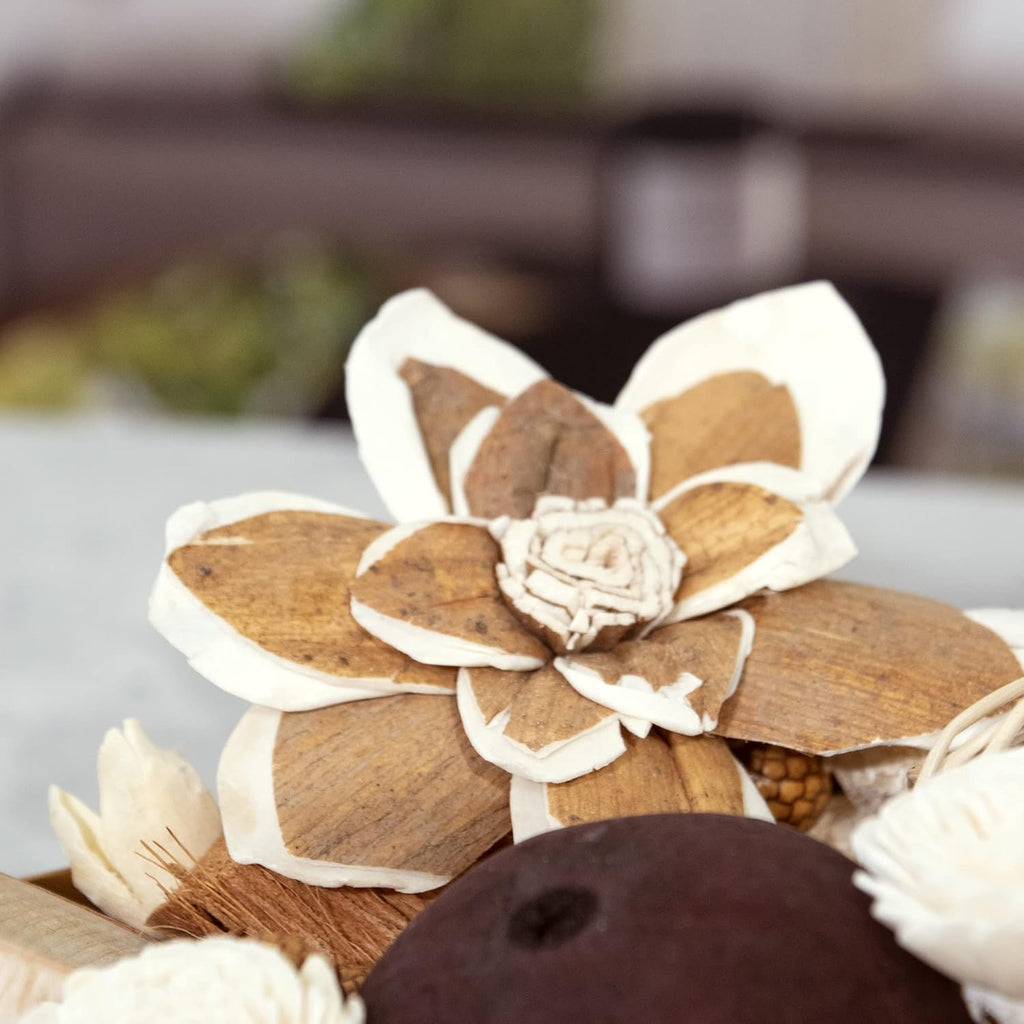 Maison Box Fragrance Potpourri Decorative Vase & Bowl Filler Home Décor (Coconut Sandalwood)