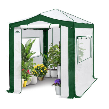 8x6 Walk in Pop Up Greenhouse, Green/White