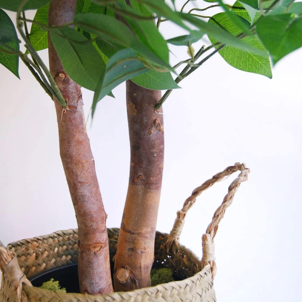 Fake Ficus Tree 6 FT Lifelike Faux Plant Decor