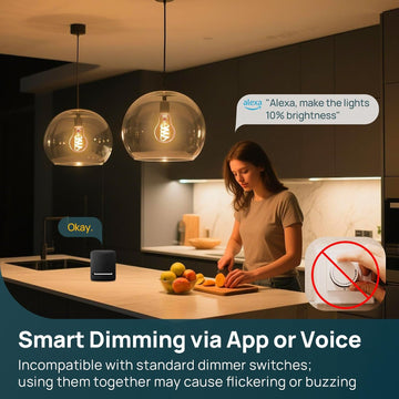 E26 Smart Edison Bulbs with Remote Control 6 Pack & Matter A19 Smart Edison Bulb 1 Pack