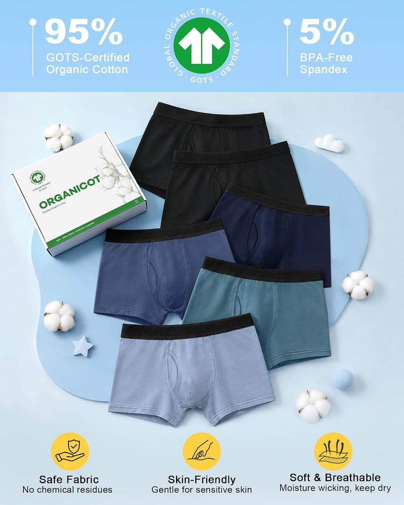 Organic Cotton Boys Underwear Boxer Briefs 6 Pack Comfort