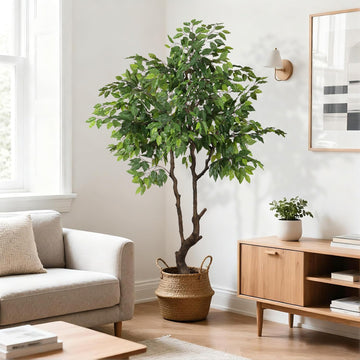 Artificial Ficus Tree 6ft(72in) Faux Floor Potted Tree Decor