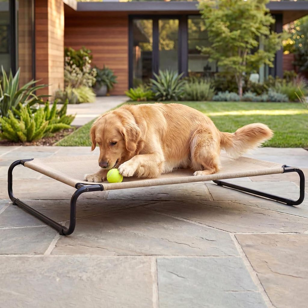 Cooling Elevated Dog Bed, Outdoor Raised Dog Bed for Large Dogs