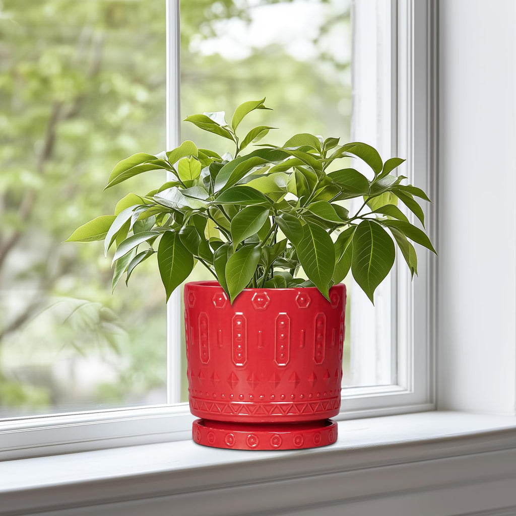 6 Inch Plant Pot, Ceramic Flower Pots for Indoor Outdoor Plants, Round Pots for Plants with Drainage Hole and Tray