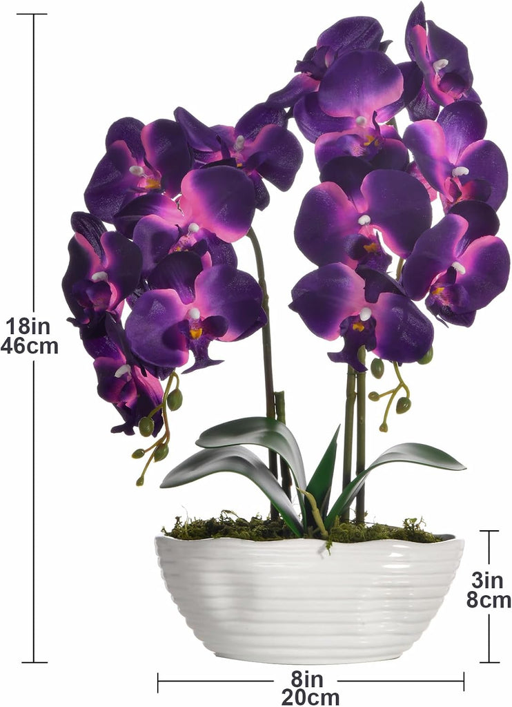 Large Artificial Orchid Arrangement in Oval Ribbed Ceramic Pot, Dark Purple