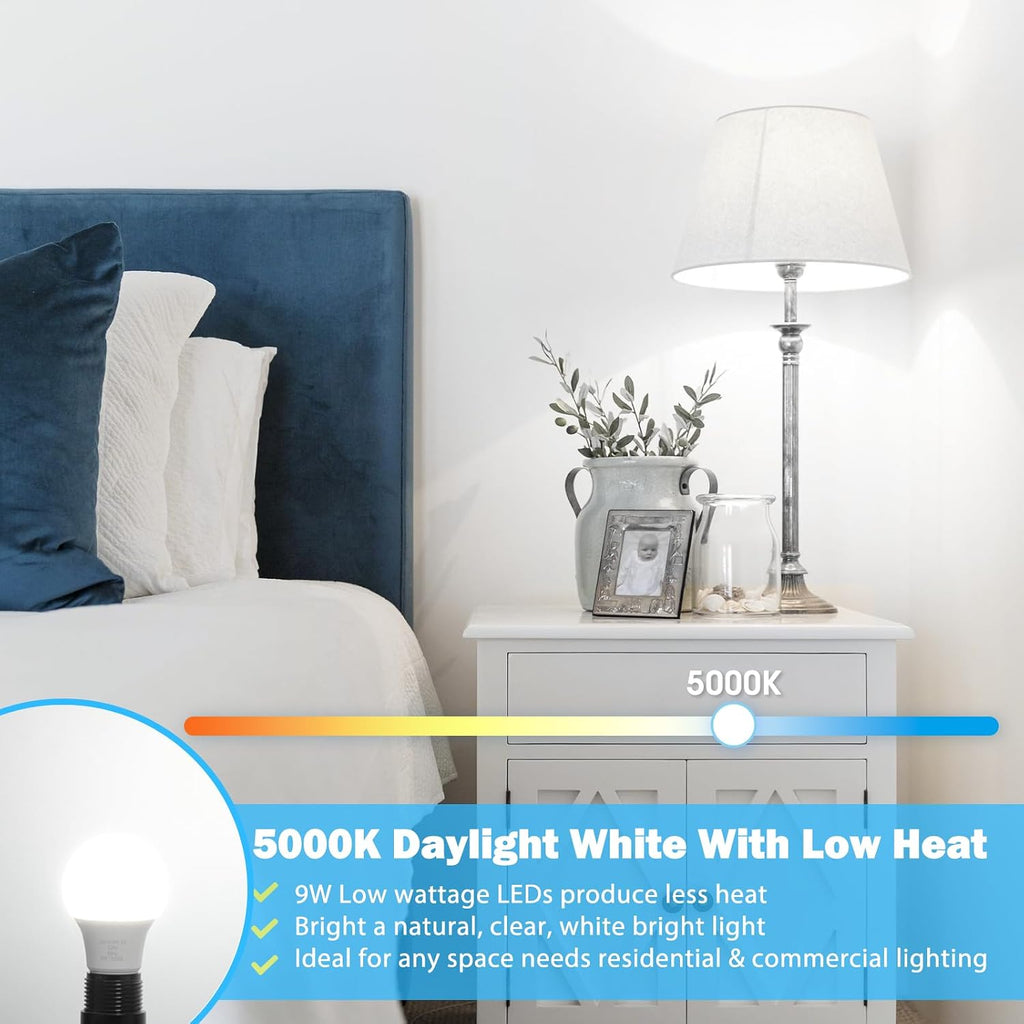 A19 LED Light Bulb 60W Equivalent, Dimmable 5000K Daylight White