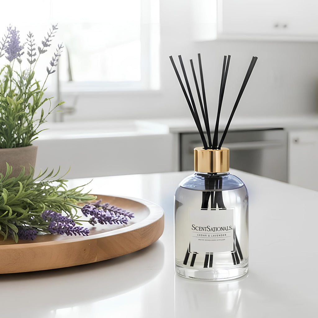 Cedar & Lavender Water-Based Reed Diffuser - 5 FL OZ