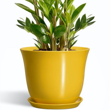 Ceramic Planter, 10 Inch Plant Pot for Indoor, Yellow