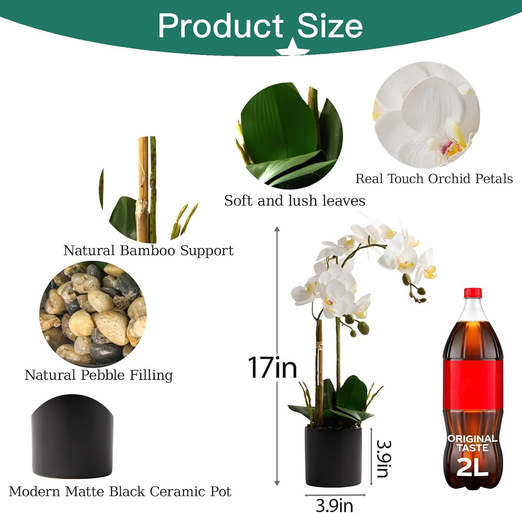 17" Artificial White Phalaenopsis Orchid in Modern Black Ceramic Pot