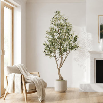 6FT Olive Trees Artificial Indoor - Thick Trunk & Lifelike Fruits