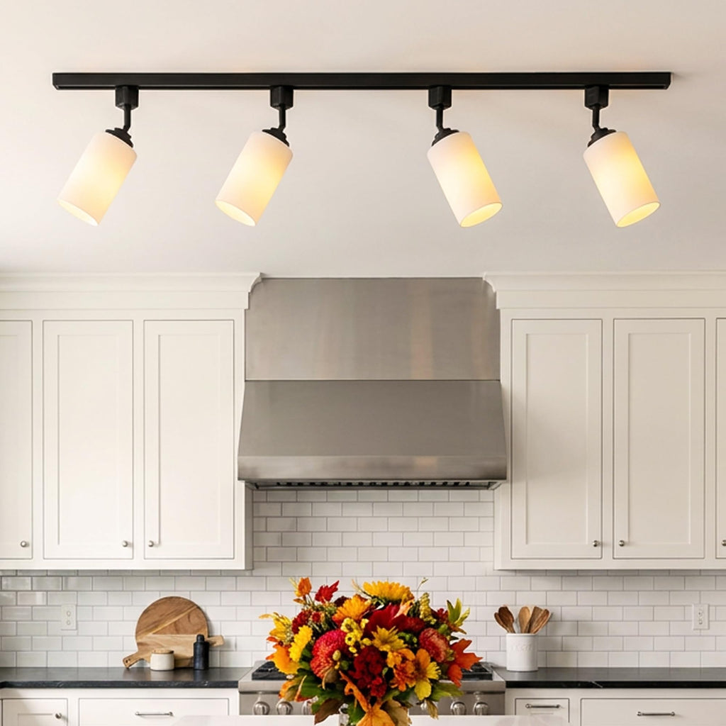 4 Pack H Type Track Lighting Heads, E26 Frosted Glass, Black