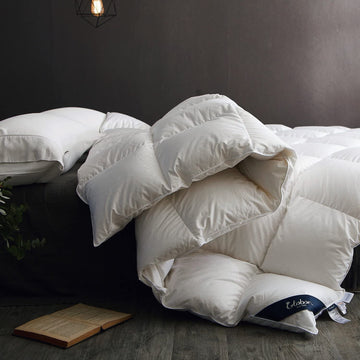 Winter Down Comforter Queen Size, Heavyweight Duvet Insert for Clod Sleepers, Noiseless Soft Shell, with 8 Corner Tabs