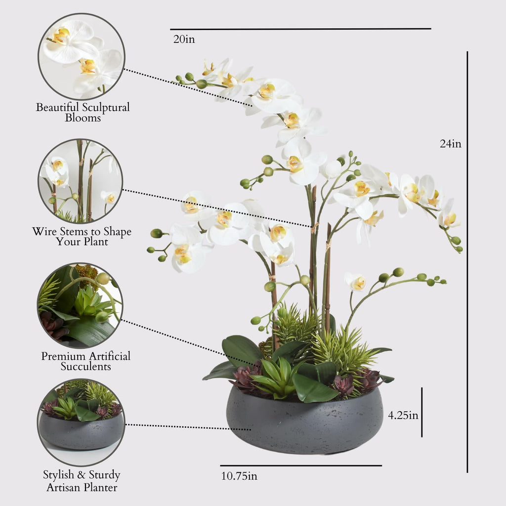 Faux Orchid Plant w/Succulents, 24 in, Grey, Home Decor