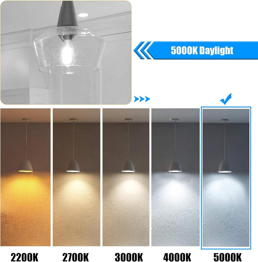 12 Pack Dimmable LED Edison Bulb 40W Equivalent, 5000K Daylight