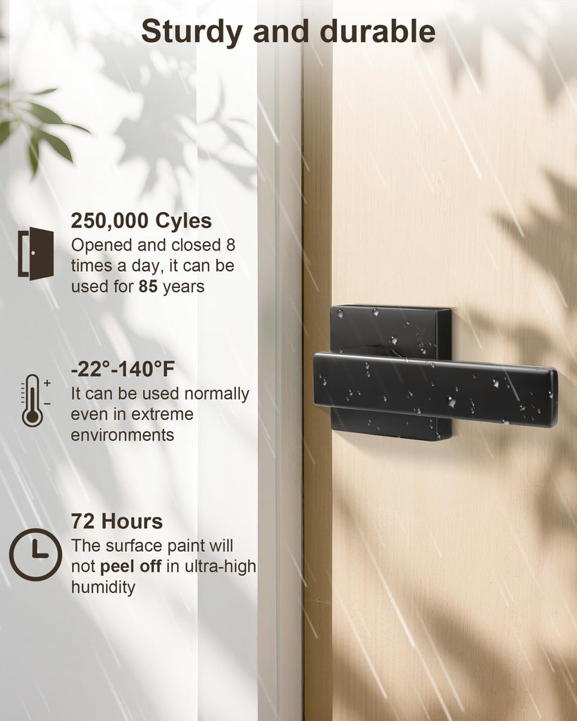 10 Pack Passage Door Handle in Matte Black,Interior Closet Door Knobs ,Non-Locking Keyless Modern Door Lever