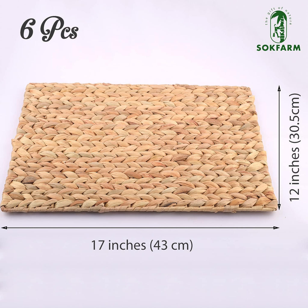 Water Hyacinth Rectangular Placemats, 17 x 12 Inch Woven Rattan Table Mats for Dining Table, Heat Resistant - Set of 6