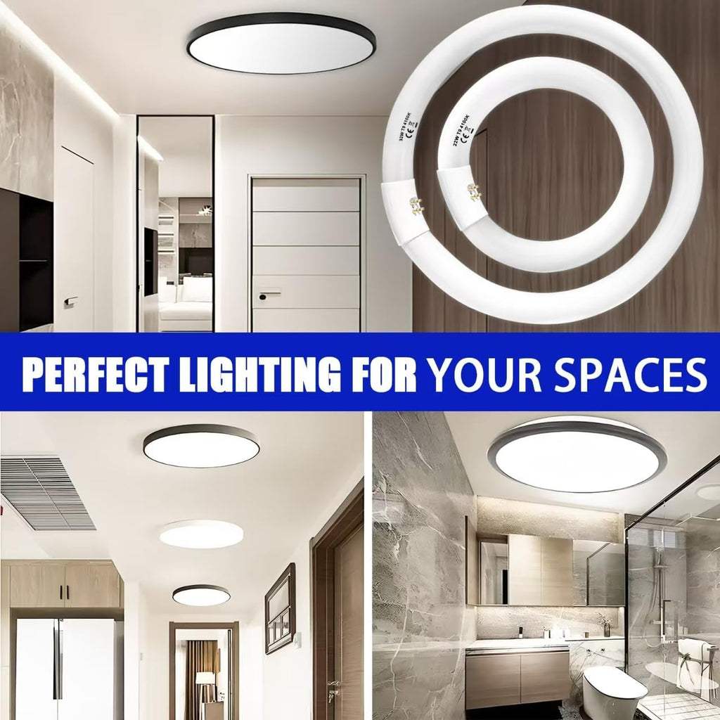 22W and FC12T9/CW 32W Cool White Set, 8 inch T9 22 Watts Circular Light Bulbs, 12 inch 32 Watts Circline