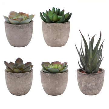 Artificial Succulent Plants Set, Low Maintenance Home Office Decor