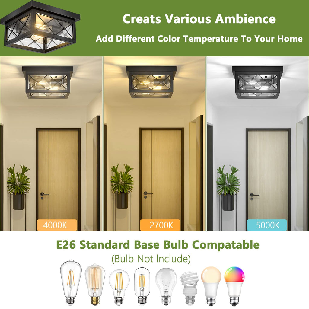 Farmhouse Light Fixtures Ceiling Mount, 2-Light Black Flush Mount Ceiling Light with Clear Glass Shade, Metal Cage