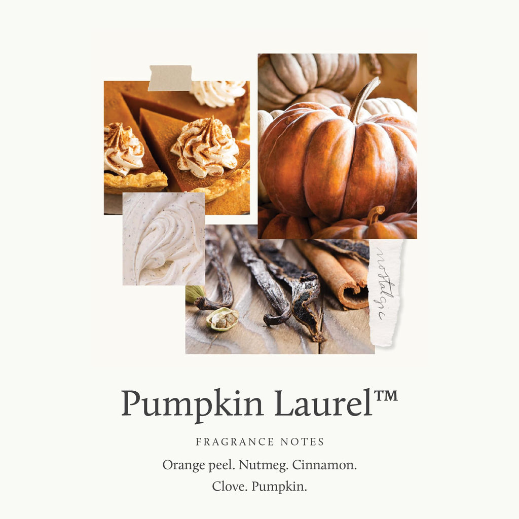 Scented Candles Decor - Luxury Home Fragrance Gifts for Women & Men - Fall Candles with Creamy Pumpkin, Nutmeg, &