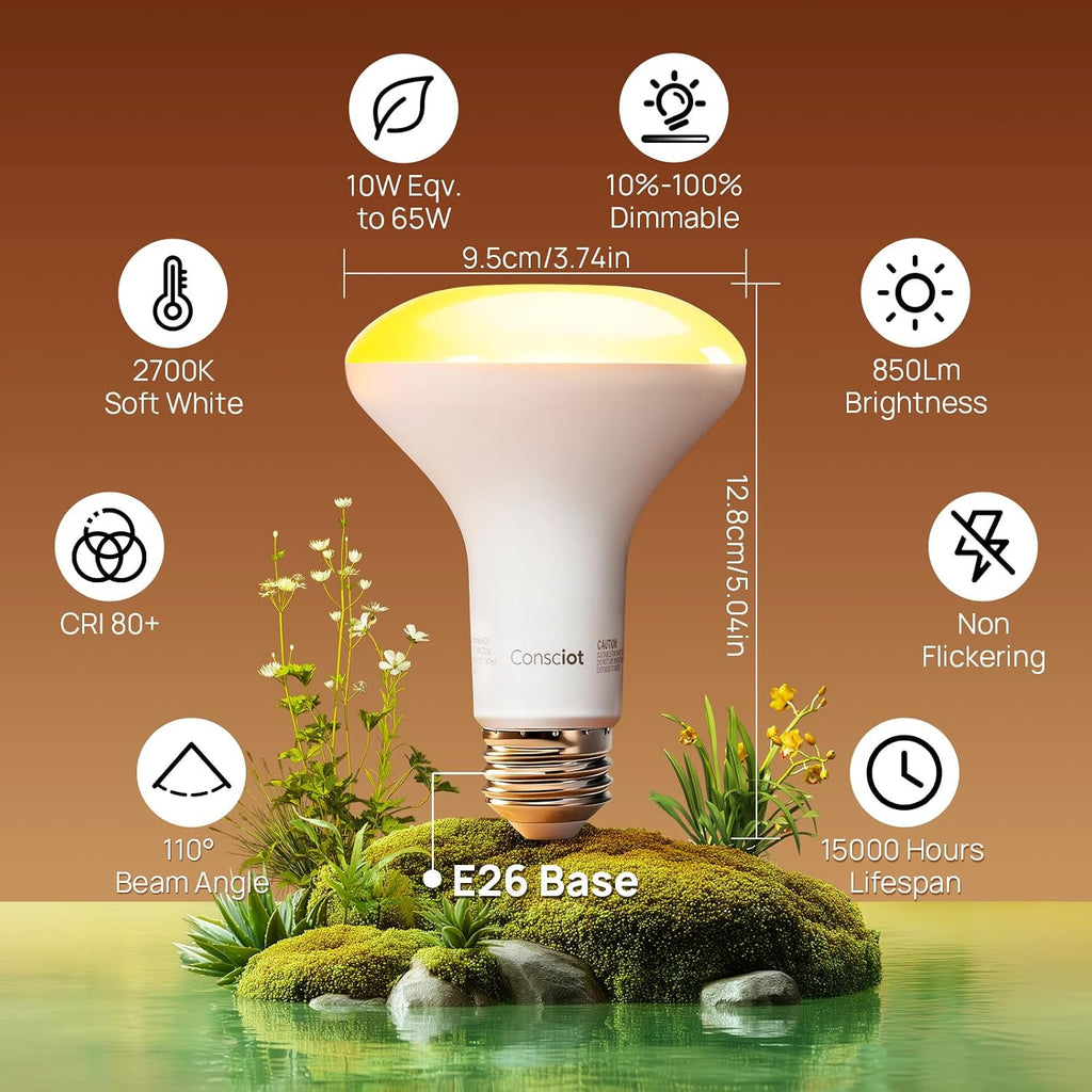 BR30 LED Bulb Dimmable, 10W Equivalent 65W, 850lm, 2700K, 12 Pack