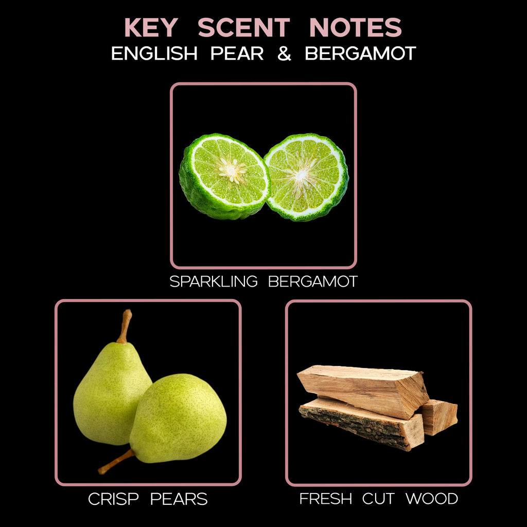 Reed Diffuser Set, English Pear & Bergamot Scented Oil Diffuser with Sticks, Home Fragrance Accessories Shelf Decor