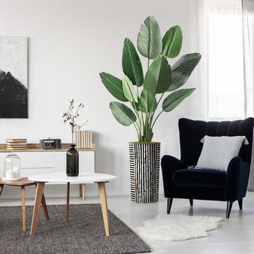 Artificial Tree in Black and Brown Striped Planter, Fake Bird of Paradise Silk Tree for Indoor and Outdoor Home