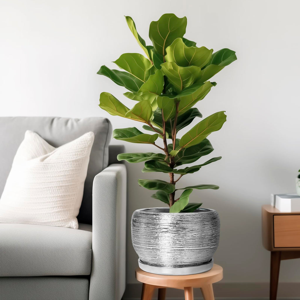 Ceramic Pot for Plants - 10 Inch Planter Indoor, Round Large Planter Outdoor with Drainage Hole and Plant Saucer