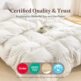 Goose Feather Down Fiber Comforter Oversized King