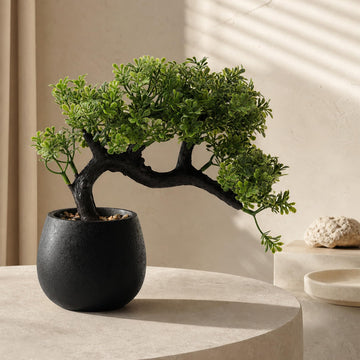 9.25" Fake Bonsai Tree Juniper Plant for Shelf Desk Decor