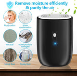 Dehumidifiers for Home 27oz(800ml) Small Auto Shut off Dehumidifiers with Drain Hose
