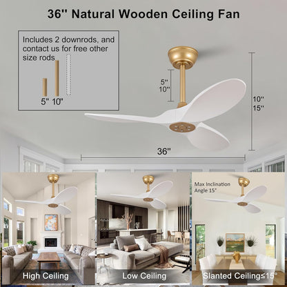 36 Inch Solid Wood Ceiling Fan with Remote,White and Gold Ceiling Fan no Light, 6 Speeds, Reversible DC Motor, Modern Ceiling Fans without Lights for Outdoor Indoor Office Farmhouse Patios A101-B0DQ84N88M