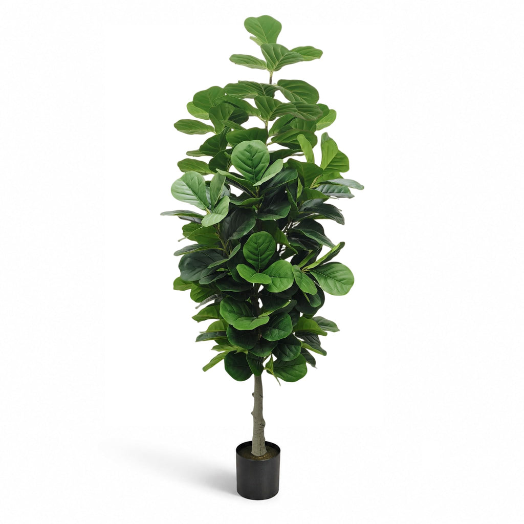 6FT Fiddle Leaf Fig Tree Fake Plant with Black Pot Decor