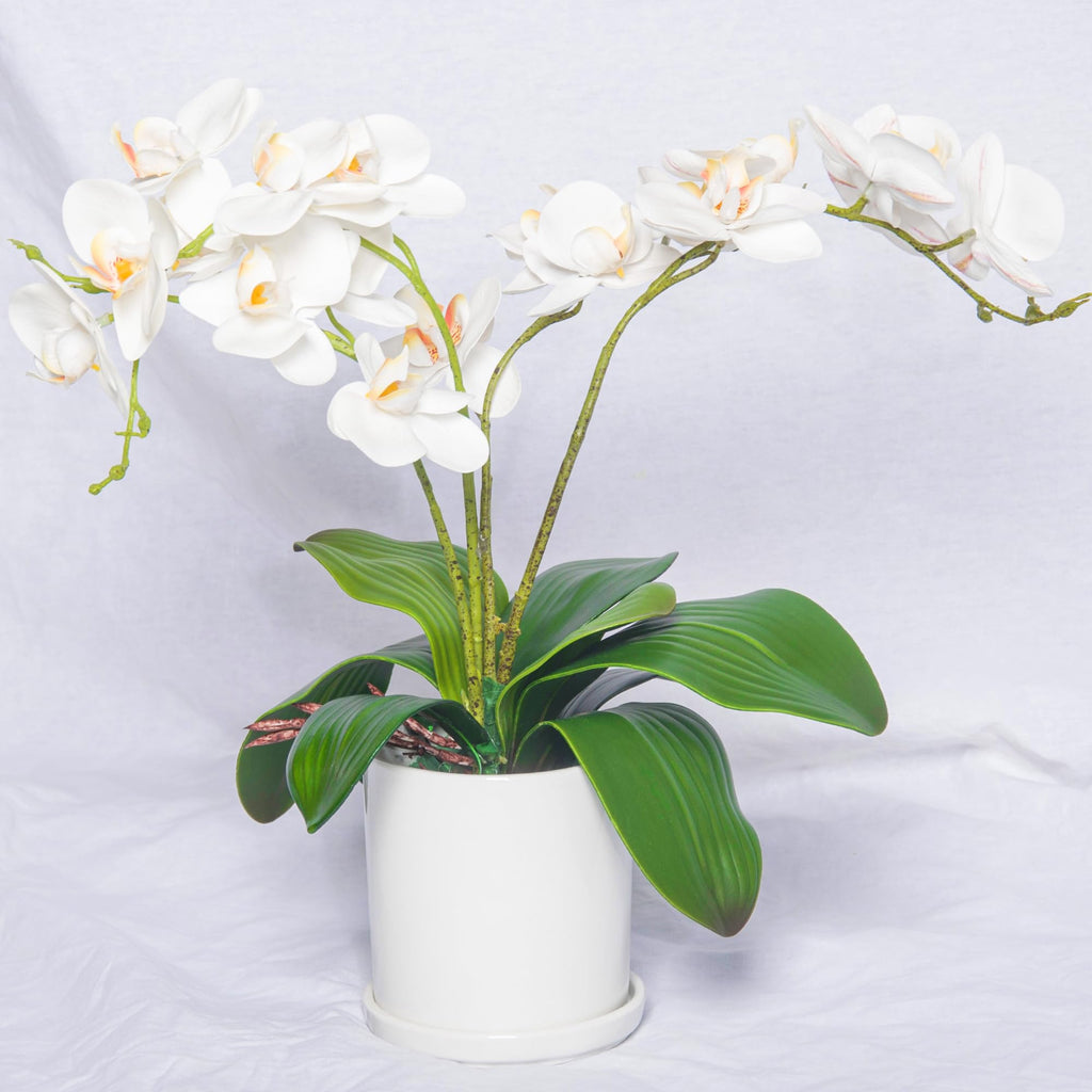 6Pcs Fake Orchid Leaves Only, Greenery Stems for DIY Arrangements